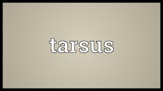 Tarsus Meaning [upl. by Alexia]