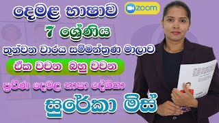 2024 grade 7 tamil 3rd term test seminar part 1 tamil online class grade7  grade 7 class 2024 [upl. by Player]