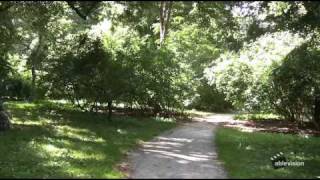 Ablevision Visits the Arnold Arboretum [upl. by Nnylrats]