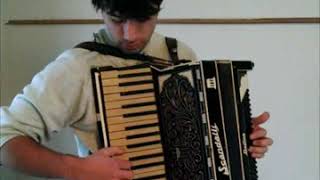 Scandalli Delfino 120 bass piano accordion SOLD [upl. by Erreip343]