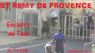 ST REMY DE PROVENCEEncierro de Taus25092018 [upl. by Nahseez74]