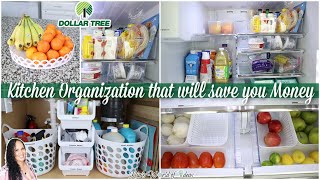 Kitchen Organization that will save you Money  DOLLAR TREE ORGANIZATION  Best Organization Hacks [upl. by Arette]