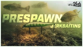 Prespawn Bass Fishing with Jerkbaits  Timing Locations and Best Baits [upl. by Ahsimit]