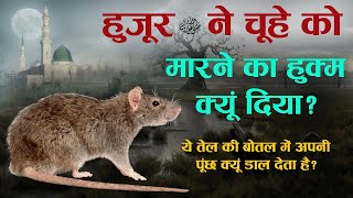 चूहे को मारने का हुक्म हुज़ूर ﷺ ने क्यूँ दिया  All about rats in Islam  Chuhe Ko Marne Ka Hukm TiM [upl. by Windham]