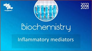 L1 Phospholipids  Cyclooxygenase Biochemistry [upl. by Ettesyl292]