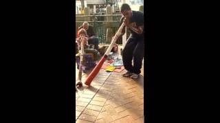 Música Aborigen Australiana en Sidney [upl. by Cuttie232]