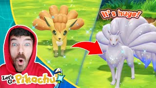 Shiny Vulpix amp Shiny Ninetales Live Reaction  Pokemon Lets Go Pikachu Extreme Shiny Living Dex [upl. by Raual270]