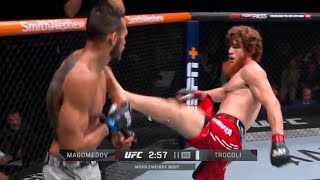 Shara Magomedov vs Antonio Trocoli  FULL FIGHT RECAP [upl. by Trembly]