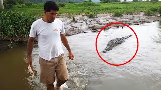 30 Scariest Crocodile Encounters of the Year [upl. by Marquez]