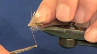 Fly Tying Buck Caddis from Roman Moser [upl. by Aleuname594]