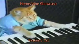 KEYBOARD CAT  MemeVine Showcase [upl. by Mackoff]