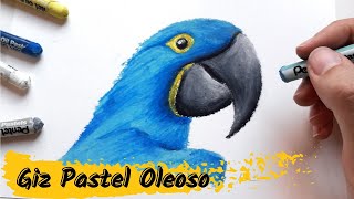 DESENHO com GIZ PASTEL OLEOSO PENTEL  Pintura ARARA AZUL – Como desenhar pintar e usar [upl. by Sofie993]