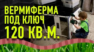 Вермиферма 120 квм Производство червей для рыбалки Дендробена Обзор вермифермы Вермитехнологии [upl. by Llejk]