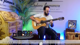 Modesto Borreguero 1930 flamenco guitar for sale played by Toni Abellán [upl. by Ferdie]