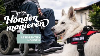 Hondenmanieren QampA Je Eigen Assistentiehond Opleiden Met Joop Mekke [upl. by Farrah]