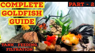 Complete Goldfish Guide  Goldfish Care Tankmates Feeding amp Filtration Guide Part 2 In Hindi [upl. by Nahs]