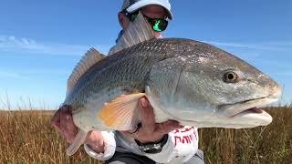 Fly fishing for Texas REDFISH [upl. by Wilfred135]