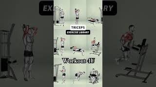 Tricep Gym Workout [upl. by Thain]