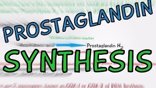 Biochemistry Help Prostaglandin Synthesis explained in 4 Minutes How are Prostaglandins made [upl. by Annek712]