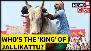 Why Pulikulam Breeds Are Referred King Of Jallikattu Heres What So Unique About Them [upl. by Agnew459]