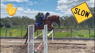 HOW TO STOP A HORSE RUSHING TO JUMPS [upl. by Fiertz919]