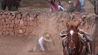 57  Lo Mejor de los Coleaderos  Jomulquillo Jerez Zacatecas [upl. by Rebor]