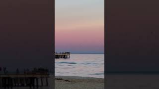 Altona Coastal Beach melbourne beaches sunset australia nature [upl. by Aramak]