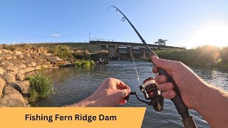 Catching Catfish Fern Ridge Dam [upl. by Epilef]