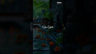 Shyam Singha Roy Movie Sirivennela Song WhatsApp Status Lyrics nani saipallavi [upl. by Barrada481]