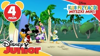 Klub przyjaciół Myszki Miki  Surfowanie Oglądaj w Disney Junior [upl. by Amero]