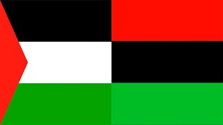 Palestine and Black Liberation [upl. by Thamora326]