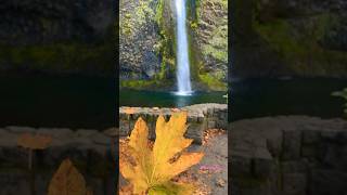 Fall Colors  Horsetail FallsColumbia River GorgeOregon shorts [upl. by Alrep104]