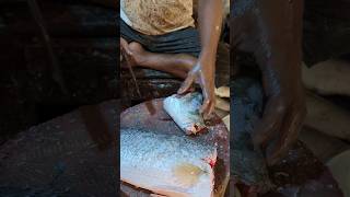 Outstanding Giant Koral Fish Cutting Skills Live In Fish Market  shorts [upl. by Abihsat496]