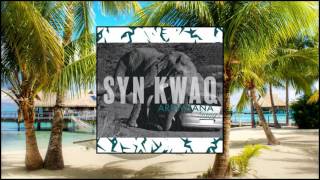 Syn KwaQ New Balance Arewhana Gang  Dancehall [upl. by Ahsimat]