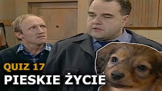 Miodowe Lata  Odcinek 17  PIESKIE ŻYCIE  Quiz [upl. by Aliuqaj391]