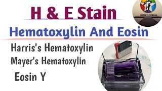 Hematoxylin And Eosin Staining Method ll Histopathology [upl. by Morice214]