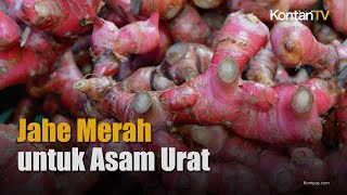 Cara Membuat Ramuan Jahe Merah untuk Mengobati Gangguan Asam Urat  KONTAN Info Sehat [upl. by Jori572]