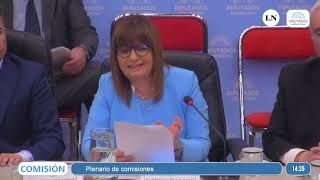 Patricia Bullrich defendiendo la Ley Ómnibus frente a los diputados [upl. by Neille757]