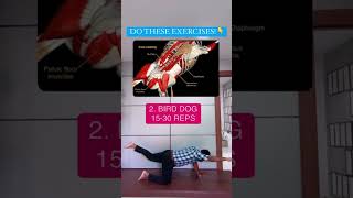 5 exercises for lumbar disc prolapse or slip disc patient Arogya physiotips [upl. by Ortiz370]