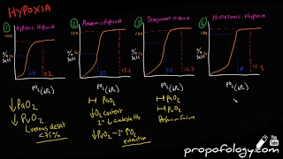 Hypoxia amp Blood Oxygen Content in 7 Minutes Physiology [upl. by Aynom]