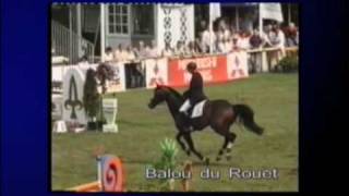 balou du rouet 2009 [upl. by Ylil]