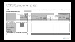 COREP and FINREP Reporting Overview [upl. by Trela792]