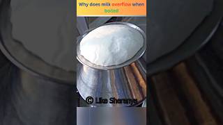 Why does milk overflow when boiled amazingfacts shorts [upl. by Annailuj]