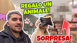 REGALO UN ANIMALE A SARA  SORPRESA [upl. by Trici]