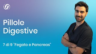 Funzione del fegato e funzione del pancreas nella digestione [upl. by Cora]