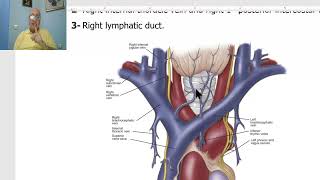 Anatomy CVS Module in Arabic 19  Brachiocephalic veins  by Dr Wahdan [upl. by Aenyl]