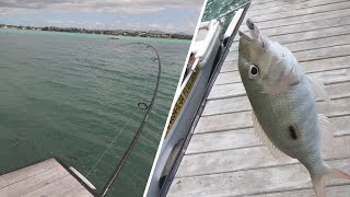 Ep13 Shore Casting at Pte Aux Cannonier Fishing in Mauritius [upl. by Malloch]