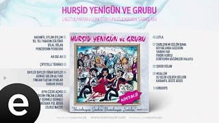 Dayler Dayler Viran Dayler Hurşid Yenigün Official Audio daylerdaylervirandayler hurşidyenigün [upl. by Grail339]