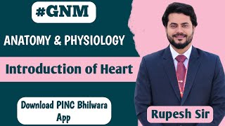 GNM  HEART ANATOMY  HEART INTRODUCTION  CARDIOVASCULAR SYSTEM  HEART ANATOMY amp PHYSIOLOGYHEART [upl. by Atolrac934]