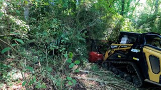 Forestry Mulching An Overgrown Backyard Creek [upl. by Neelyahs]